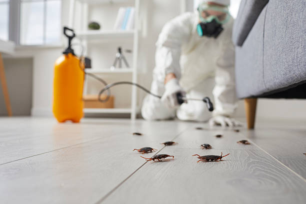 Post-Treatment Bed Bug Interceptor Monitoring in Roseland