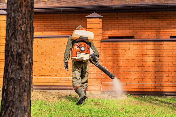 Bed Bug Clearance Verification and Documentation in Roseland